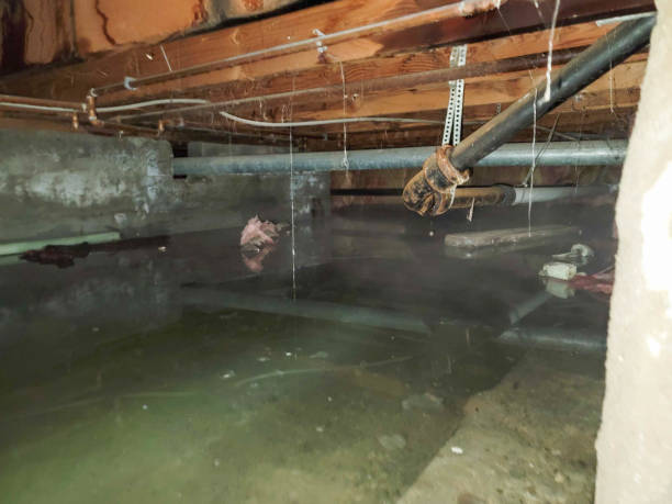 Best Emergency water damage restoration  in Stockton University, NJ