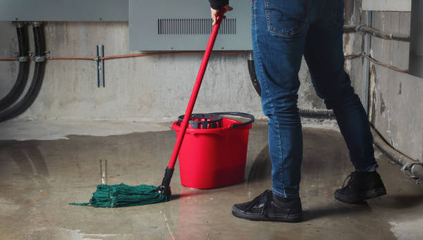 Best Professional water damage repair  in Stockton University, NJ