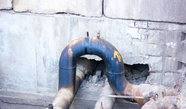 Best Carpet water damage restoration  in Stockton University, NJ
